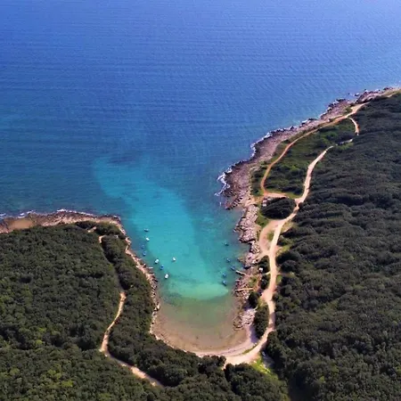 Family Friendly House With A Swimming Pool Valtura, - 22734 Semesterbostad Pula